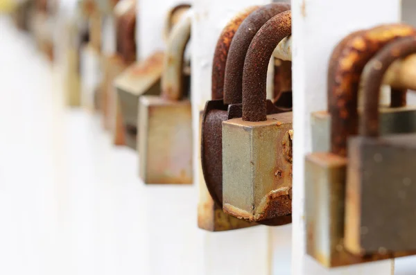 Old padlocks hanging on the metal fence — Stock Photo, Image