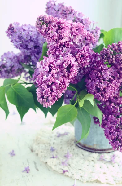 Lindas flores lilás em balde de metal — Fotografia de Stock