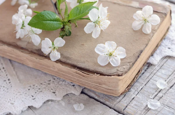 Cherry flowers laying upon old book on lace doily — Stock Photo, Image