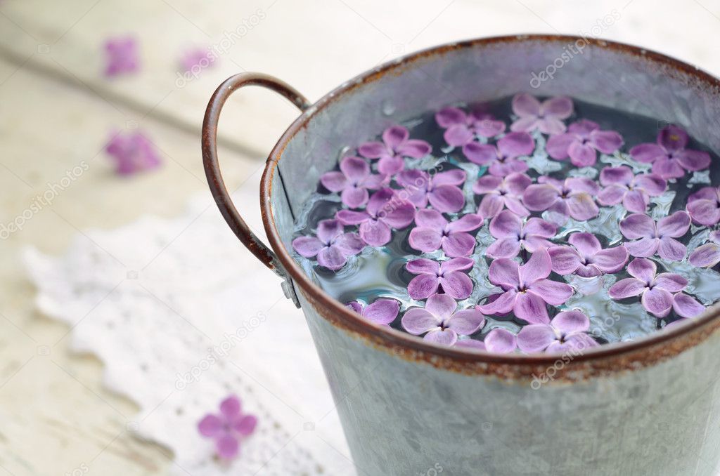 Lilac petals in water