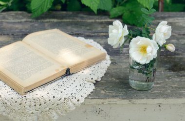 bir cam paslı ahşap masa üzerinde köpek gül çiçek