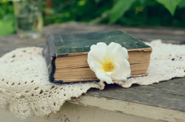 Stare książki i pies róży kwiat — Zdjęcie stockowe