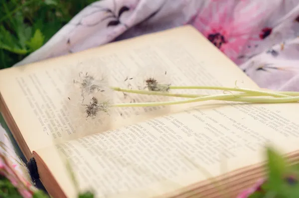 Libro e fiori di tarassaco bianco su tessuto luminoso in erba verde estate — Foto Stock