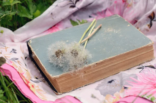 Libro y flores de diente de león blanco sobre tela brillante en hierba verde de verano —  Fotos de Stock