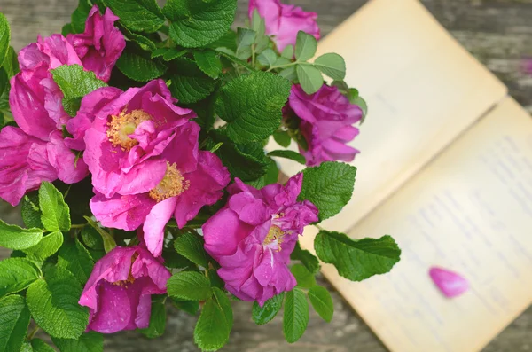 Wild rose bunch on rusted wooden background — Stok fotoğraf