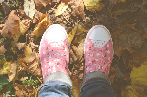 Trainers and autumn leaves — Stock Photo, Image