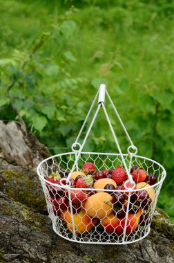 karışık meyveli ve meyve ile piknik