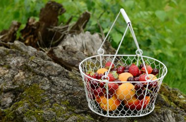 karışık meyveli ve meyve ile piknik