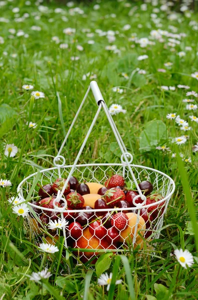 Fruit and berry mix in wire basket — Stock Photo, Image