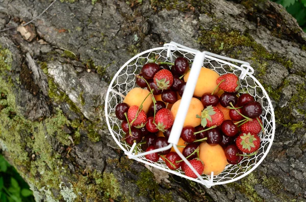 Picnic con frutti di bosco e frutti misti — Foto Stock