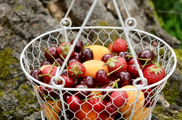 Picnic con frutti di bosco e frutti misti — Foto Stock