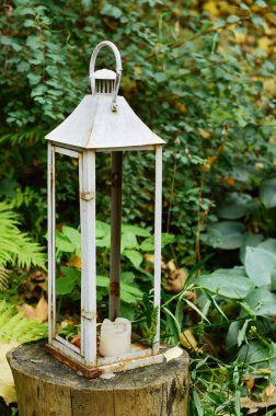 sonbahar bahçesinde açık Mumluk