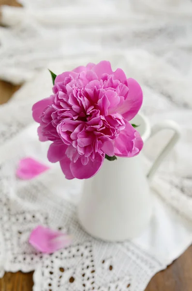 Pink peony flower in  jug on vintage lace tablecloth — Stock Photo, Image