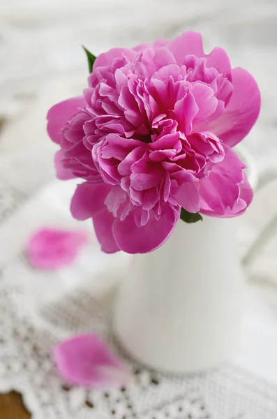 Pink peony in jug on vintage lace tablecloth — Stock Photo, Image