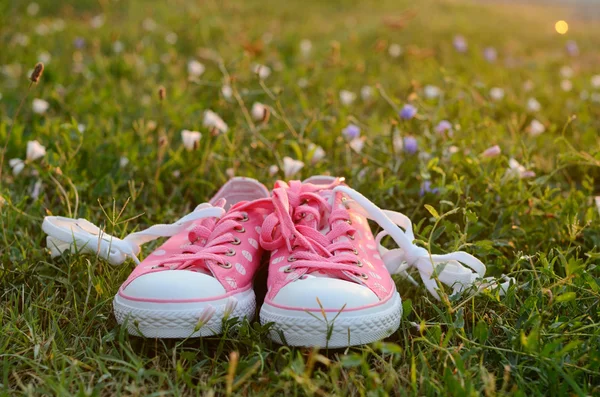 Zapatillas de gimnasia punteadas en hierba verde —  Fotos de Stock