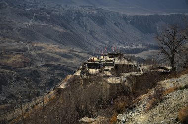 köy, jhong, muktinath district, nepal