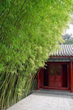 Bambu ağaçları songyang Akademisi