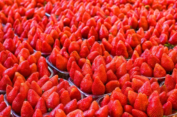 Hodně zralé jahody — Stock fotografie