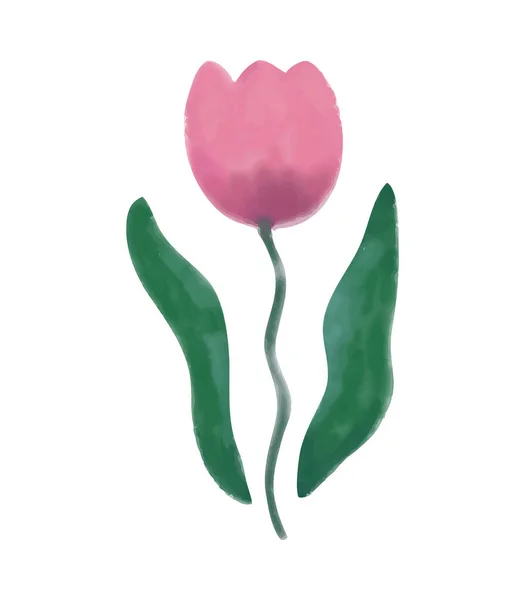 Rosa acuarela tulipán flor.Vector ilustración — Archivo Imágenes Vectoriales