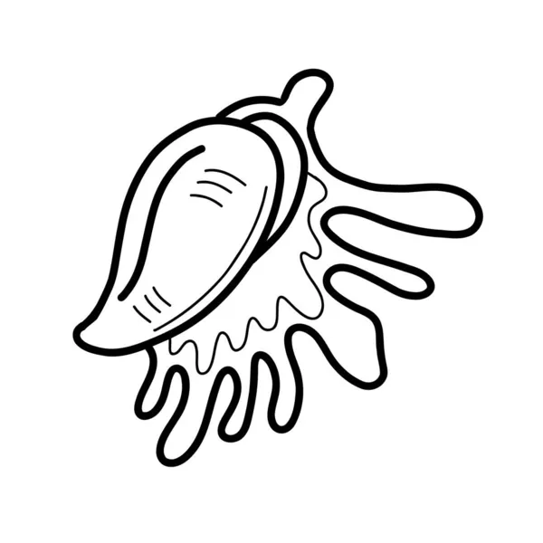 Imagem de uma concha de aranha simples. estilo doodle — Vetor de Stock