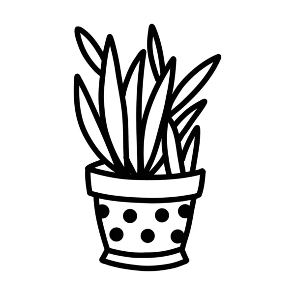 Домашні рослини в горщику. ескіз в каракулі — стоковий вектор