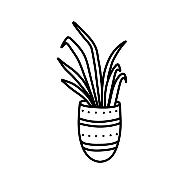 Домашние растения в горшке. эскиз в стиле каракулей — стоковый вектор
