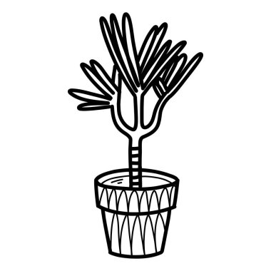 Bitki tencerede resmini