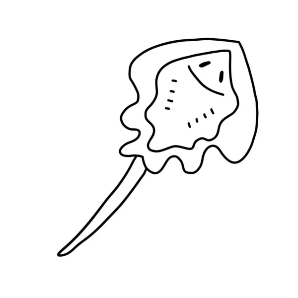 Sea stingray.Vector Illustration im Stil eines Doodle. Krabbenfisch-Sketch — Stockvektor