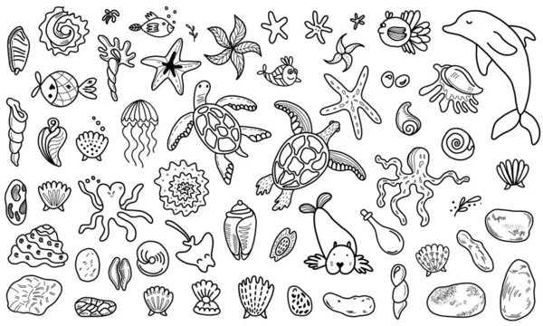 Линейный дизайн различных икон морской фауны — стоковый вектор