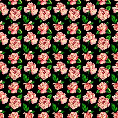 Pembe gül çiçekleri deseni