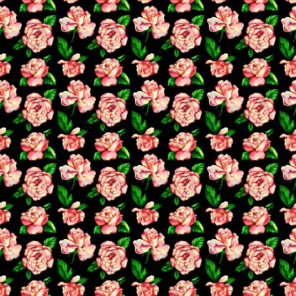 Rózsaszín rózsavirág mintája — Stock Fotó