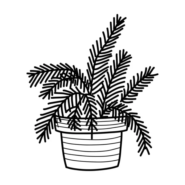 Домашні рослини в горщику. ескіз в каракулі — стоковий вектор