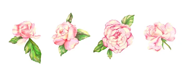 Colección de rosa acuarela roses.vector ilustración — Archivo Imágenes Vectoriales