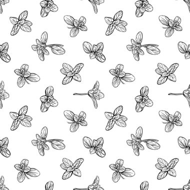 Basil Kusursuz desen, Marjoram deseni..