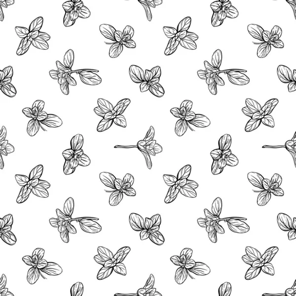 Basil Kusursuz desen, Marjoram deseni..