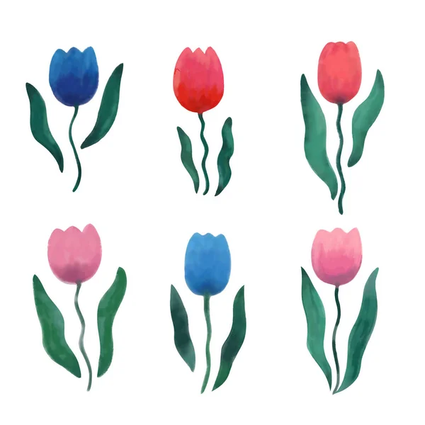 Colección de flores de tulipán de primavera. Ilustración en acuarela — Archivo Imágenes Vectoriales