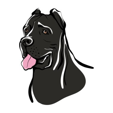 Cane Corso sketch. Portrait of a dog. Vector illustration