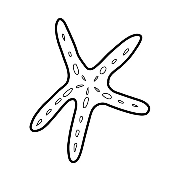 Esboço de estrela do mar. Ilustração vetorial no estilo de um doodle — Vetor de Stock