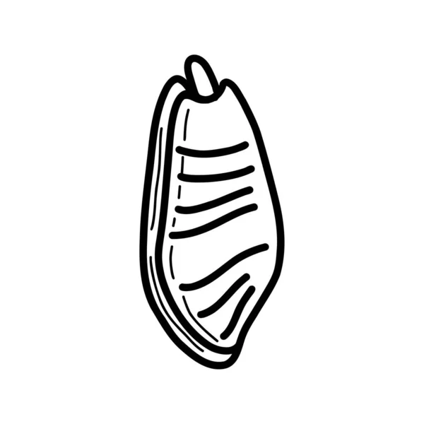 Muszelkę. ilustracja wektor w stylu doodle — Wektor stockowy
