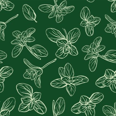 Basil deseni. İtalyan otları. Marjoram deseni