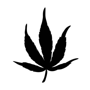 Siyah kenevir yaprağı. Esrarın silueti