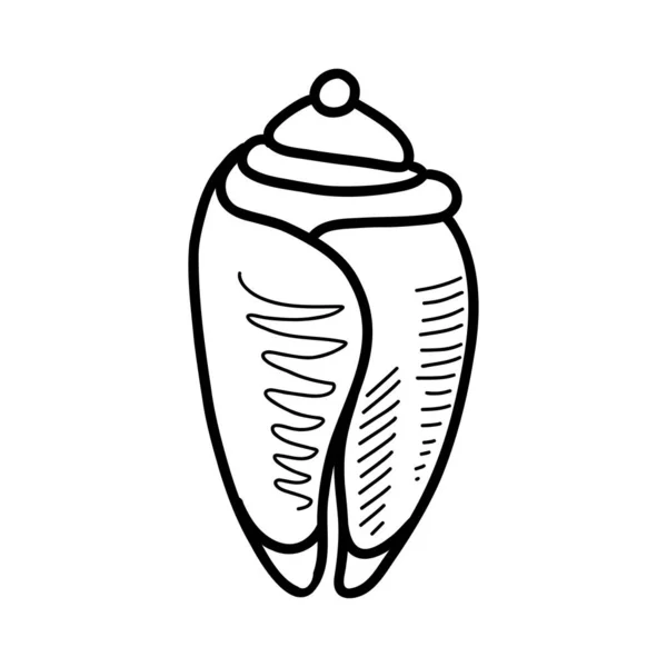 Concha marina. ilustración vectorial en estilo doodle — Vector de stock