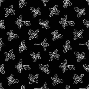 Fesleğensiz desen. İtalyan otları