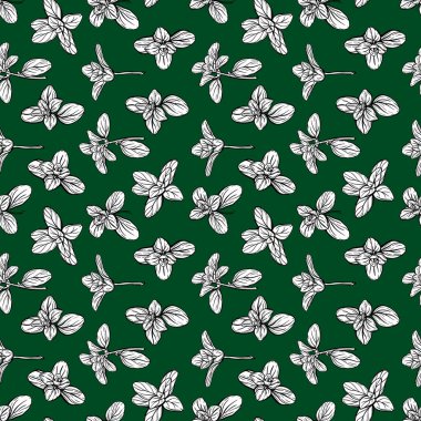 Kusursuz fesleğen yaprağı deseni 