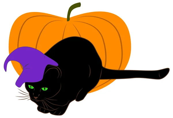 Чёрный кот и тыква — стоковый вектор