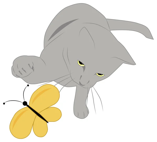 Gray cat and butterfly — Stock Vector