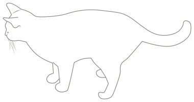 bir kedi kontur