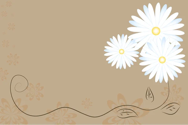 Background with daisies — Stock Vector