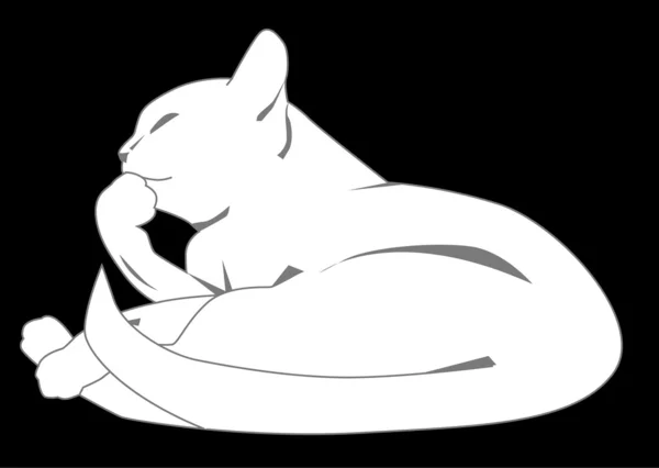 Gato blanco — Vector de stock