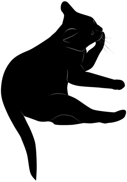 Gato negro — Vector de stock